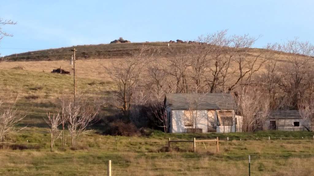 Bitter Creek National Wildlife Refuge | California 166 & Cerro Noroeste Rd, Maricopa, CA 93252, USA | Phone: (805) 644-5185