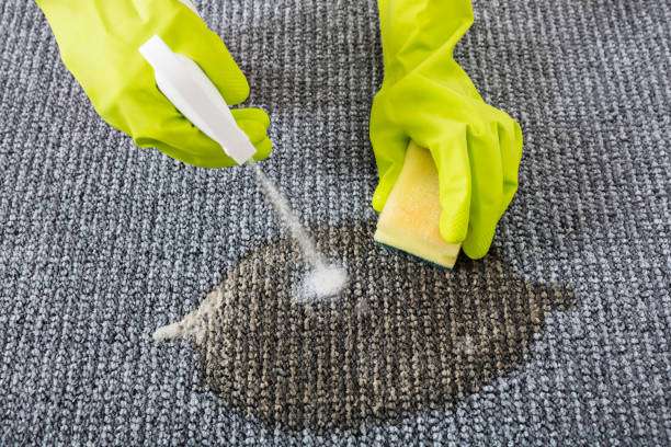 Ideal Carpet Care | 10266 Foothill Blvd, Lake View Terrace, CA 91342 | Phone: (818) 975-3424