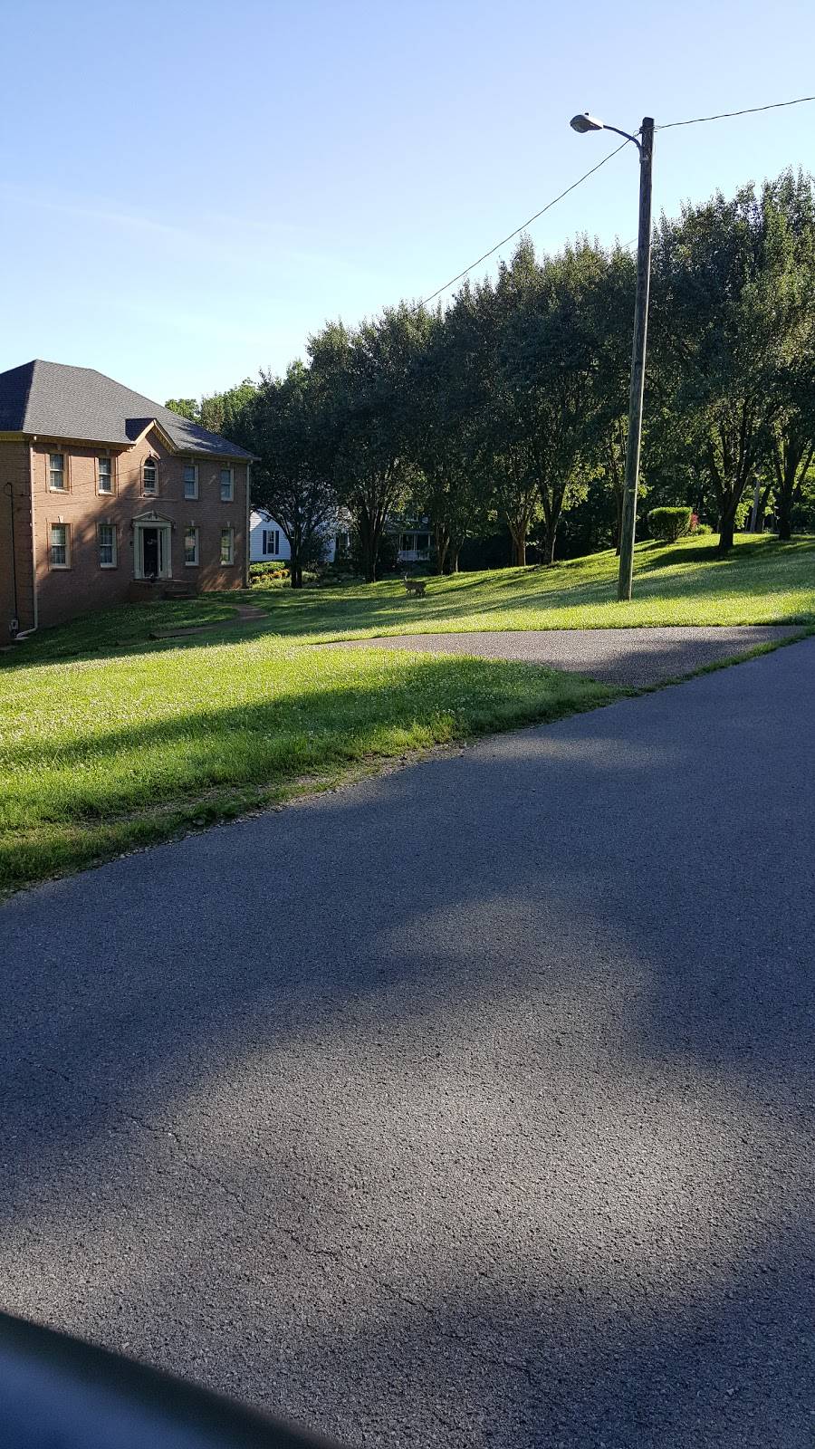 Surgical Supplies Inc | 6711 Walnut Hills Dr, Brentwood, TN 37027, USA | Phone: (615) 837-8295