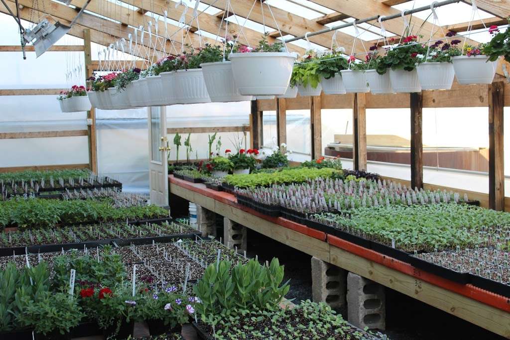 Hidden Acres Greenhouse | 956 Fallowfield Rd, Atglen, PA 19310, USA | Phone: (610) 593-7365