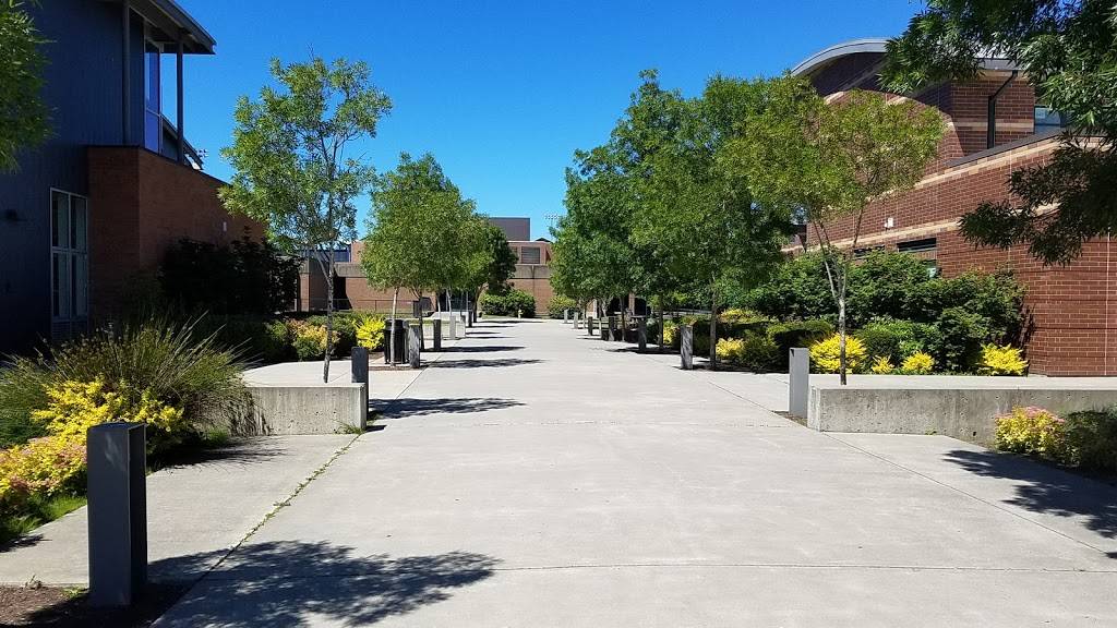 Bainbridge High School | 9330 High School Rd NE, Bainbridge Island, WA 98110, USA | Phone: (206) 842-2634