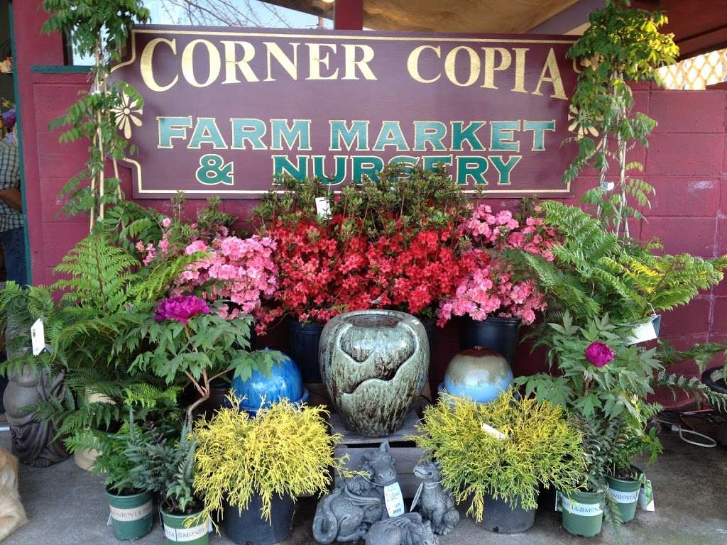 Corner Copia | 619 Mercer St, East Windsor, NJ 08520, USA | Phone: (609) 426-8884