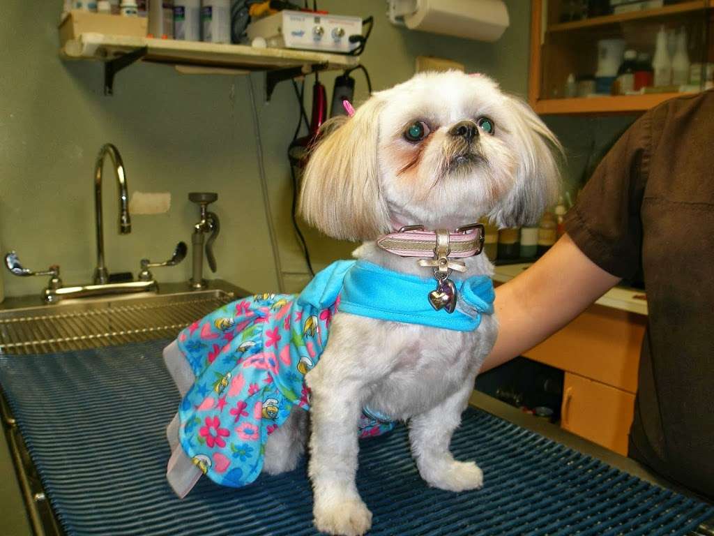 Merrillville Animal Hospital - Dr. Alicia Gustafson DVM | 6226 Cleveland St, Merrillville, IN 46410, USA | Phone: (219) 980-1531