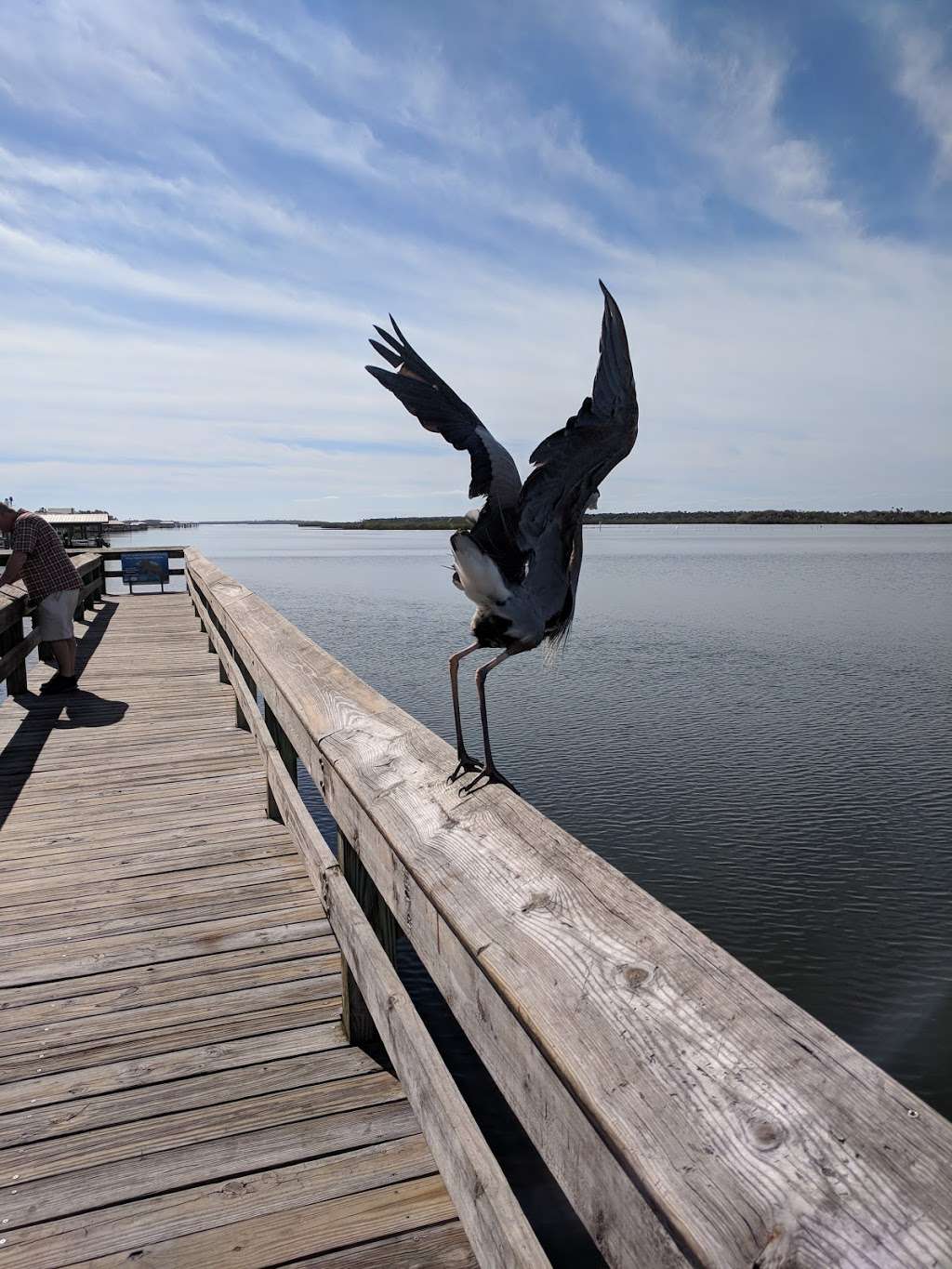 Mary McLeod Bethune Park West Side | Ladyfish Ave, New Smyrna Beach, FL 32169, USA