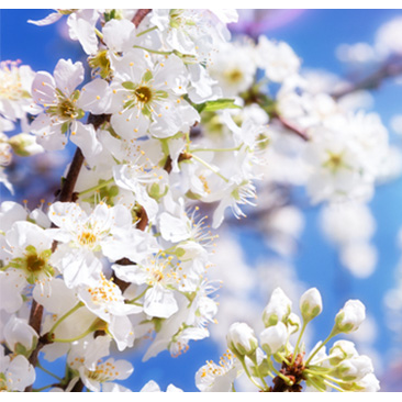 Finchley Counselling Practice | 39 Hillcourt Ave, London N12 8EY, UK | Phone: 07903 870434