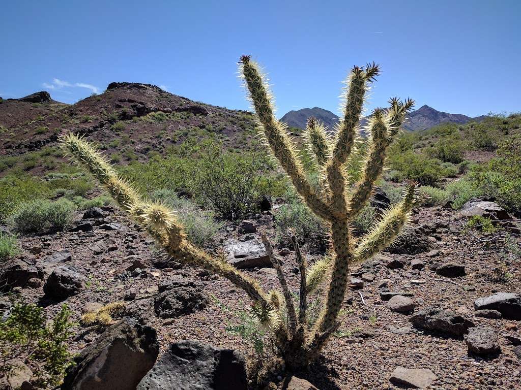 McCullough Hills Trailhead | 295 E Mission Dr, Henderson, NV 89002, USA | Phone: (702) 267-4050