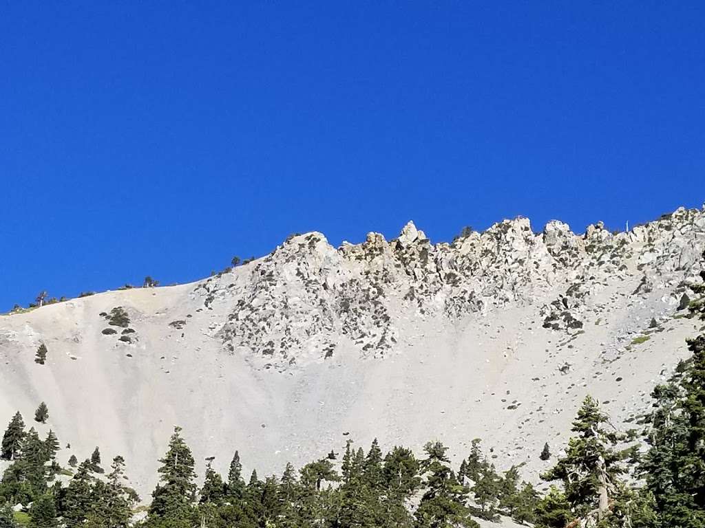 Baldy Bowl Trail start | Baldy Bowl Trail, Mt Baldy, CA 91759, USA