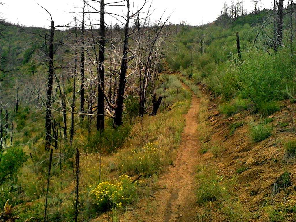 North Fork Trail Parking Lot | 15609 W Platte River Rd, Littleton, CO 80127, USA