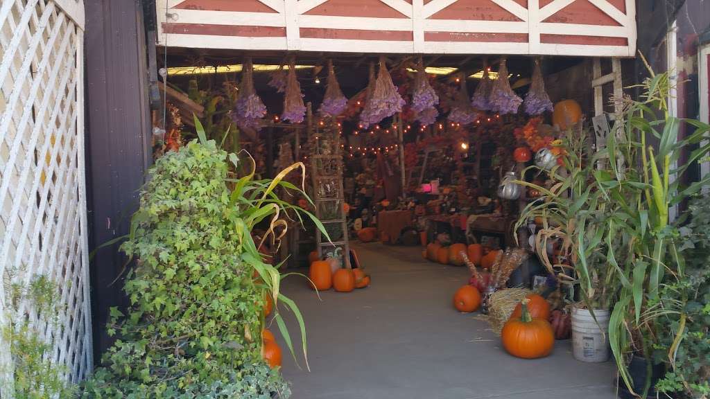 Pastorinos Flowers | 12391 San Mateo Rd, Half Moon Bay, CA 94019, USA | Phone: (650) 726-6440