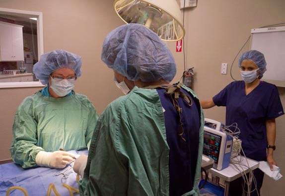 East Valley Emergency Pet Clinic | 938 N Diamond Bar Blvd, Diamond Bar, CA 91765, USA | Phone: (909) 861-5737