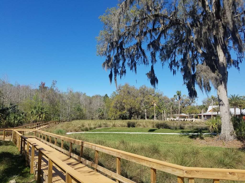 Fenney Nature Trail | Wildwood, FL 34785, USA