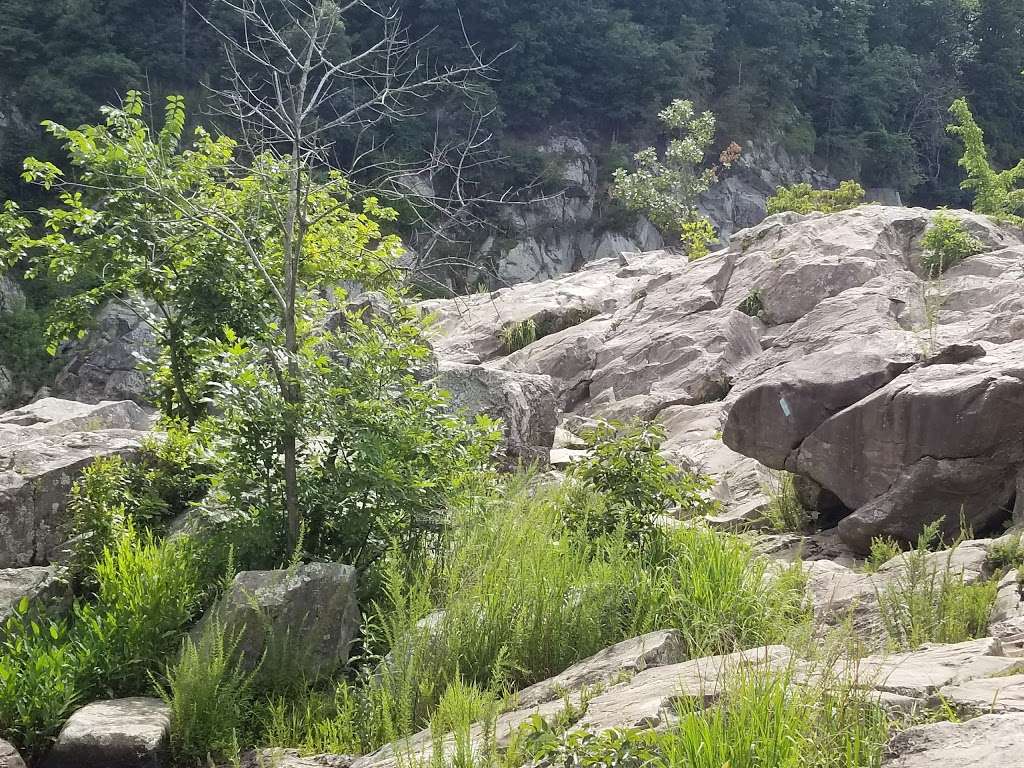 Cow Hoof Rock | McLean, VA 22102, USA