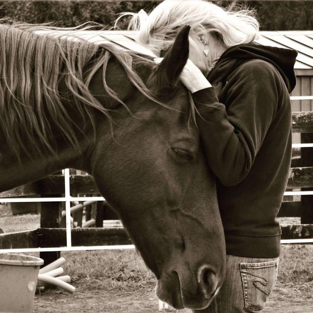 Project Horse Empowerment Center | 18915 Lincoln Road, (drive down hill, BARN on right), Purcellville, VA 20132 | Phone: (703) 517-6964