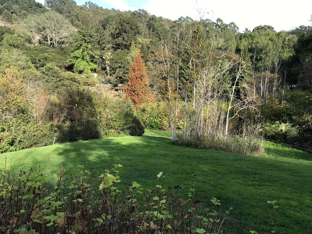 Regional Parks Botanic Garden | Shasta Rd, Berkeley, CA 94708, USA | Phone: (510) 544-3169