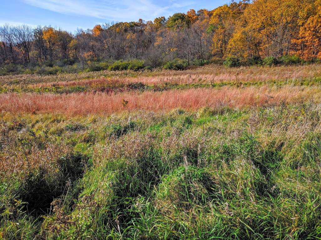 Hickory Creek Preserve | Mokena, IL 60448