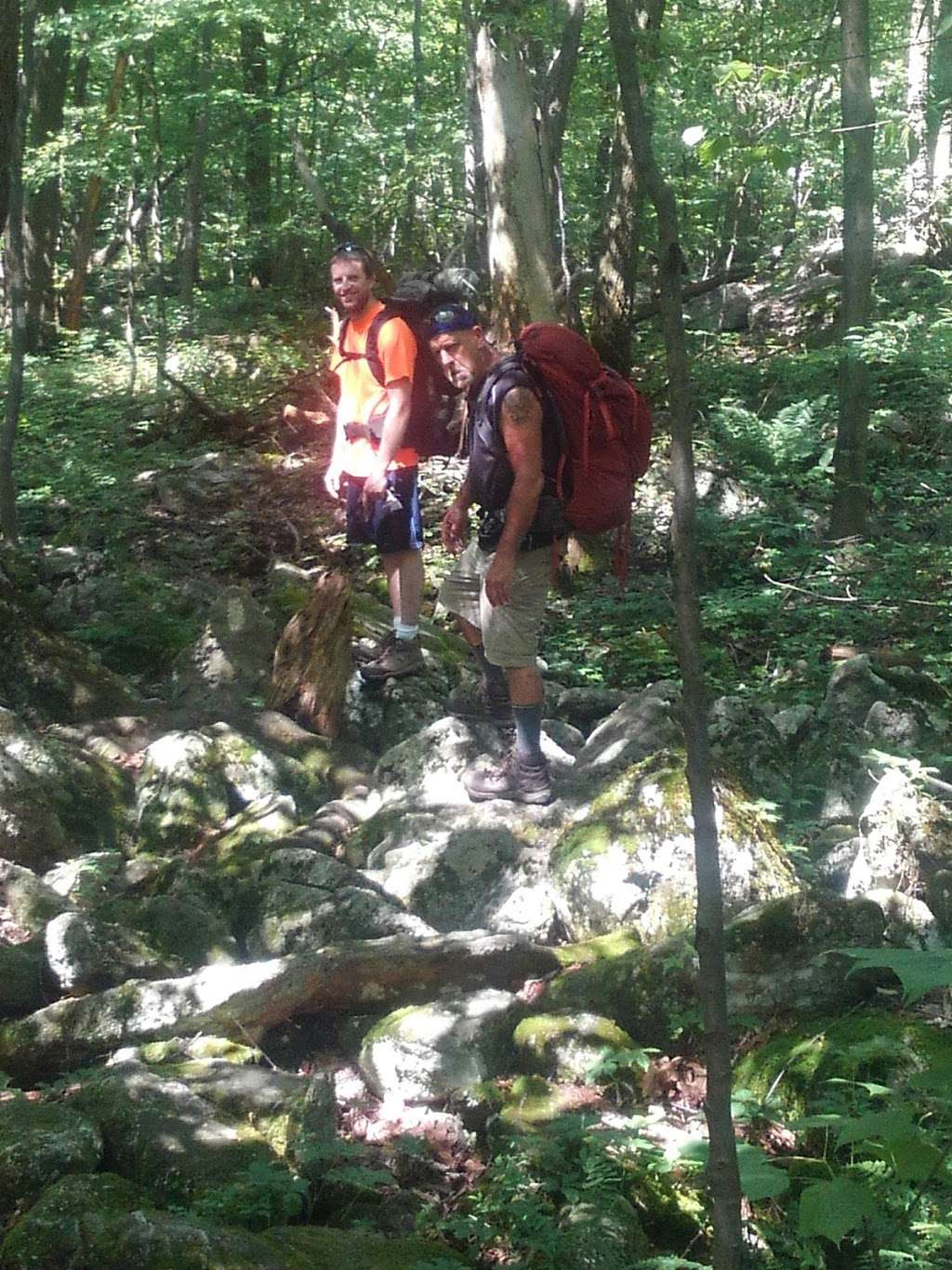 Appalachian Trail | Ashfield Rd, Slatington, PA 18080, USA