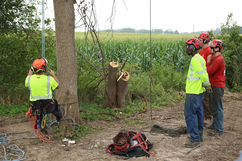 ArboRisk | 14795 W National Ave, New Berlin, WI 53151, USA | Phone: (888) 302-4288