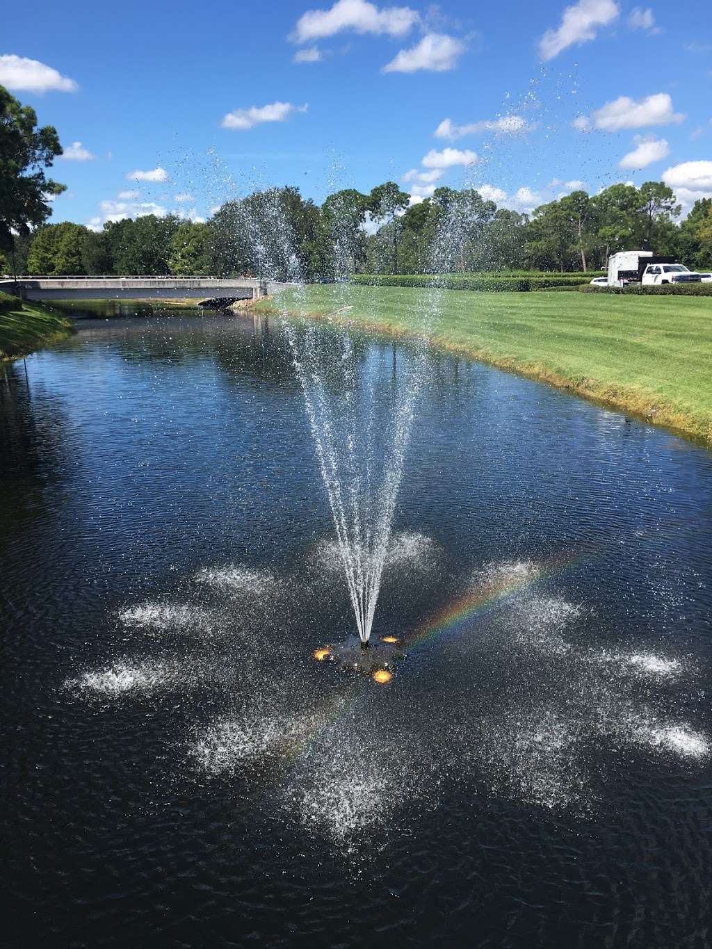 Disneys Yacht Club Resort Bus Stop | Bay Lake, FL 34747