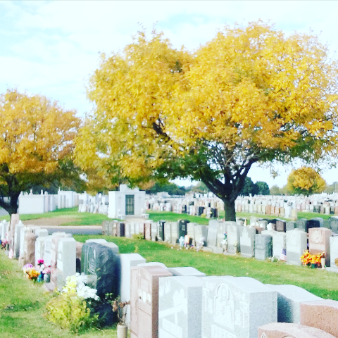 St Raymond New Cemetery | 2600 Lafayette Ave, Bronx, NY 10465 | Phone: (718) 792-1133