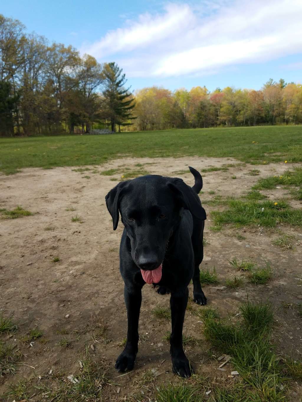 Dog Park at Union Point | 25 Memorial Grove Ave, Weymouth, MA 02190, USA | Phone: (617) 249-1105