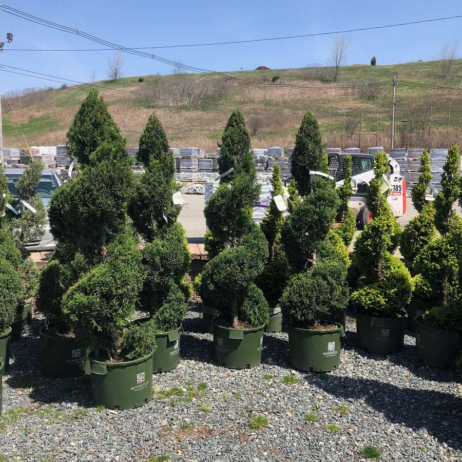 Northeast Nursery Contractor Center 8 Dearborn Rd, Peabody, MA 01960