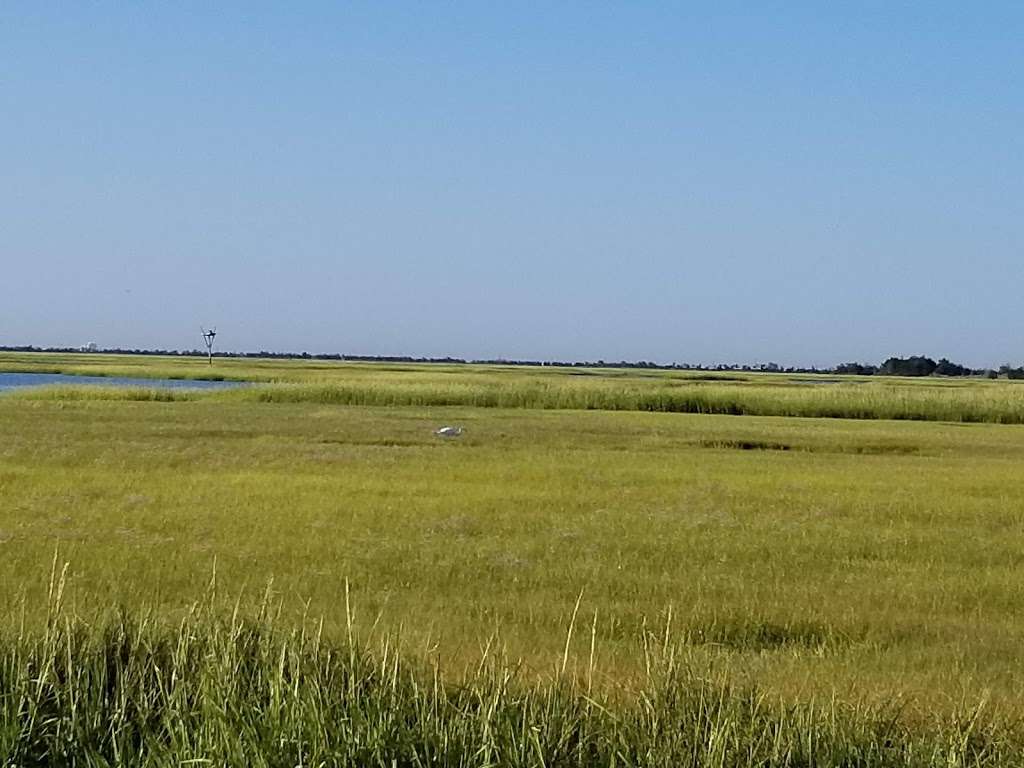 Carol Nicoletta Memorial Park | E Shellbay Ave, Cape May Court House, NJ 08210, USA