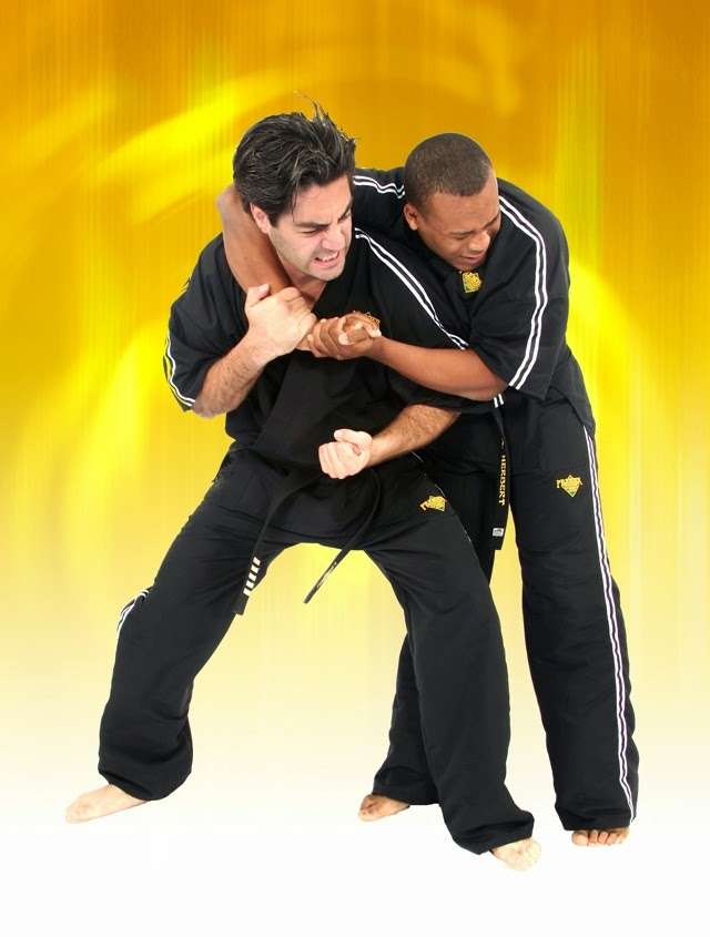 Premier Martial Arts | 1613 Orchard Dr, Chambersburg, PA 17201, USA | Phone: (717) 262-4141