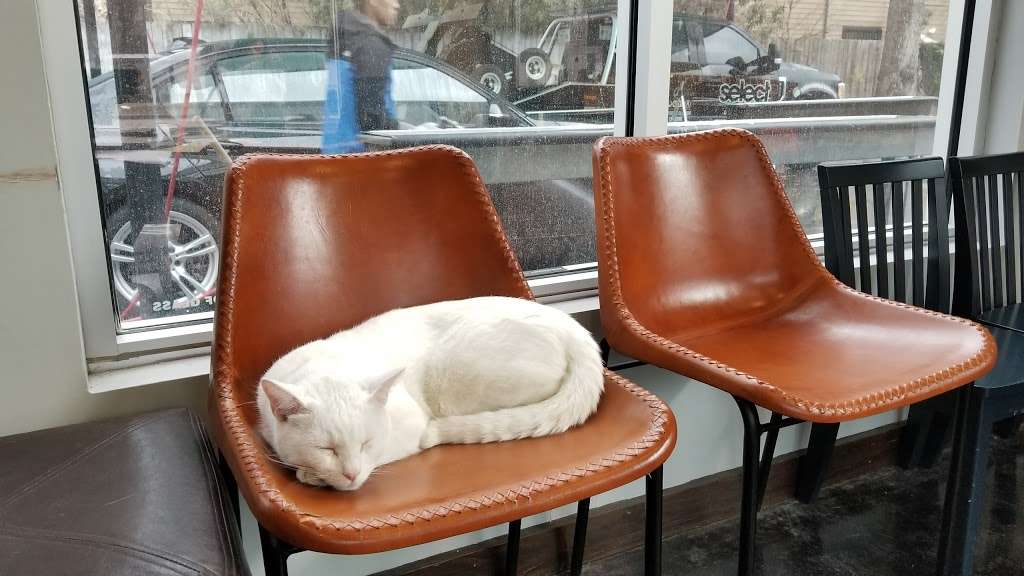 Aqua Hand Car Wash & Detail, 1013 Montrose Blvd, Houston, TX 77019