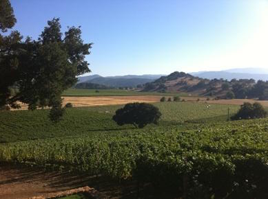 Napa Valley Wine Country Tours | 20 Case Ct, American Canyon, CA 94503, USA | Phone: (707) 226-3333