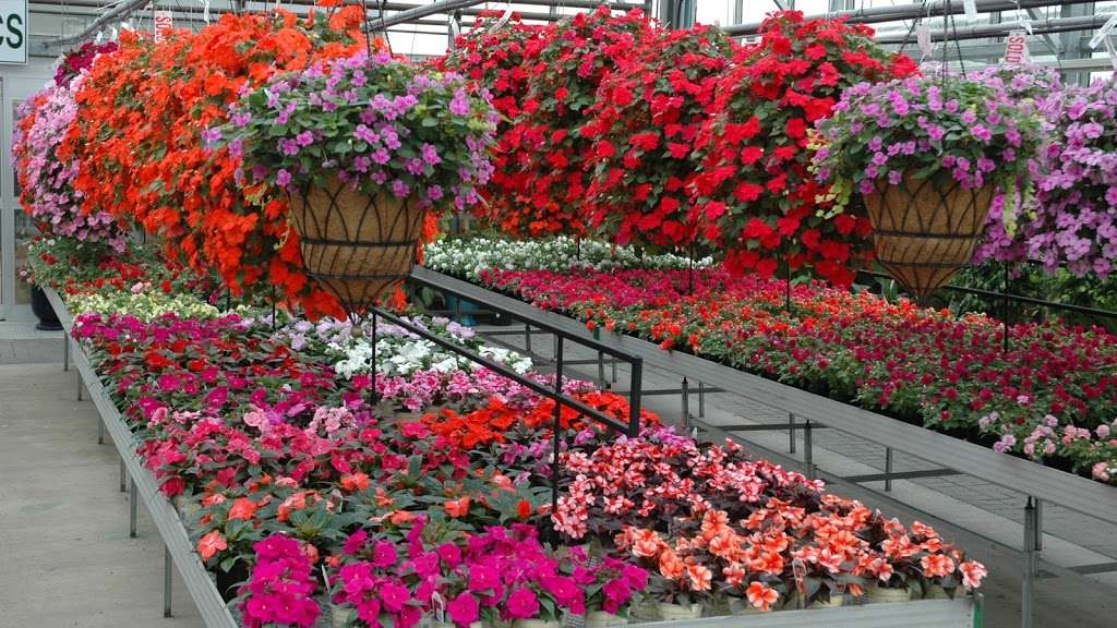 Platt Hill Nursery | 2400 Randall Rd, Carpentersville, IL 60110, USA | Phone: (847) 428-6767