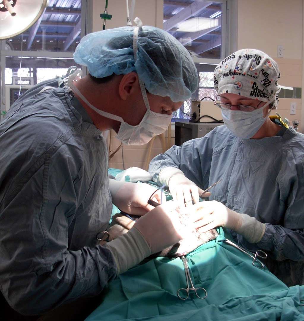 Oakhurst Veterinary Hospital | 225 Monmouth Rd, Oakhurst, NJ 07755, USA | Phone: (732) 531-1212