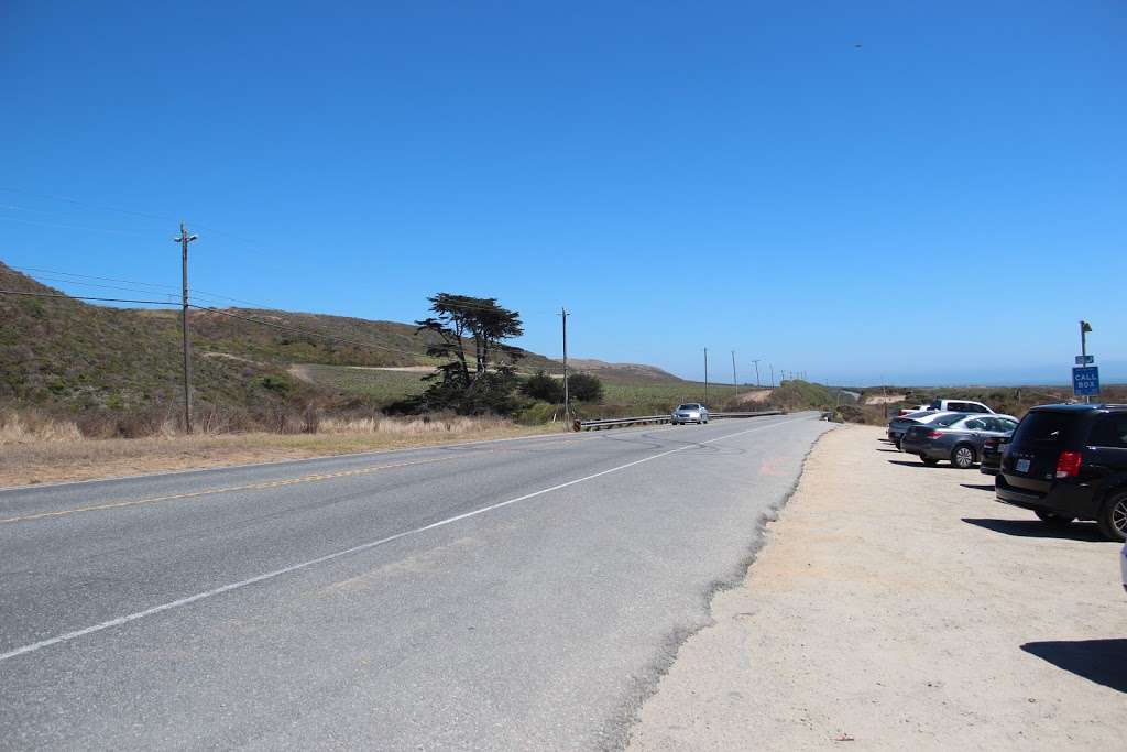 Shark Fin Cove Parking Lot | Davenport, CA 95017, USA