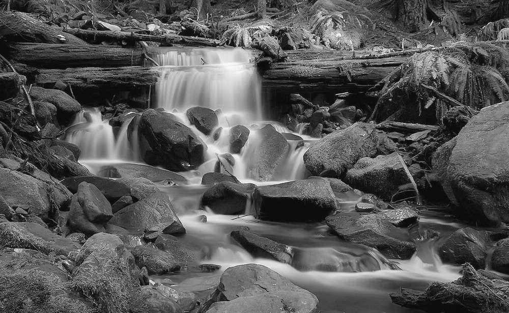 Glen Onoko | Lehigh Gorge State Park Trail, Jim Thorpe, PA 18229, USA