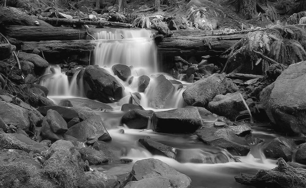 Glen Onoko | Lehigh Gorge State Park Trail, Jim Thorpe, PA 18229