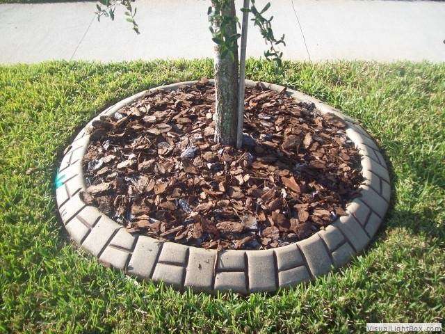 Pacific Curbing | 11772 Bella Milano Ct, Windermere, FL 34786 | Phone: (813) 770-4424