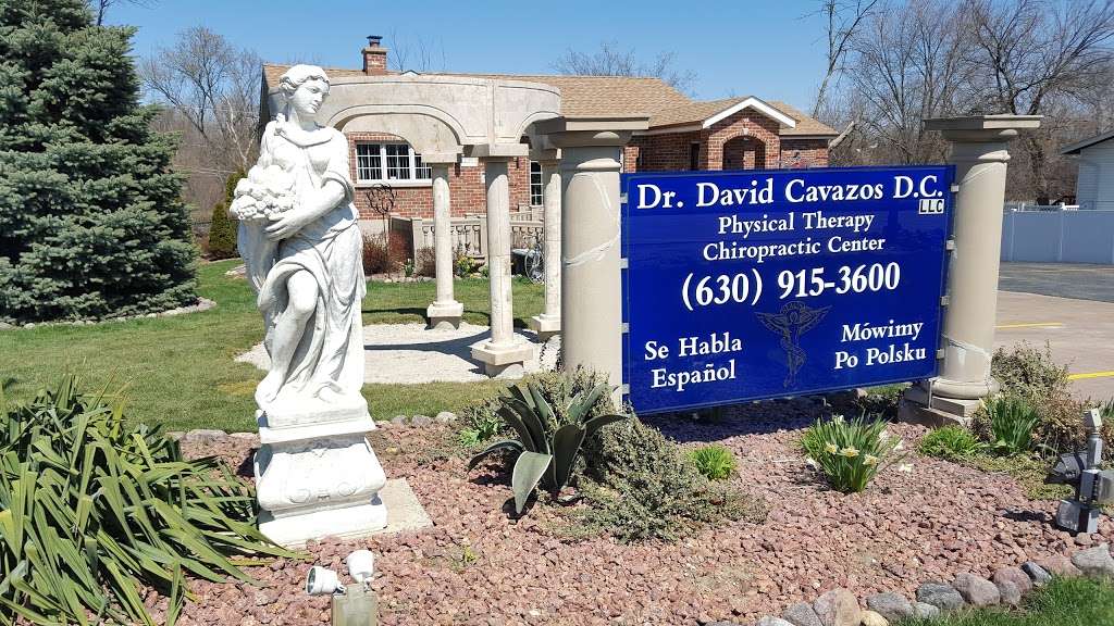 Dr Cavazos David DC, Physical Therapy and Chiropractic | 66 North Ave, Carol Stream, IL 60188, USA | Phone: (630) 915-3600