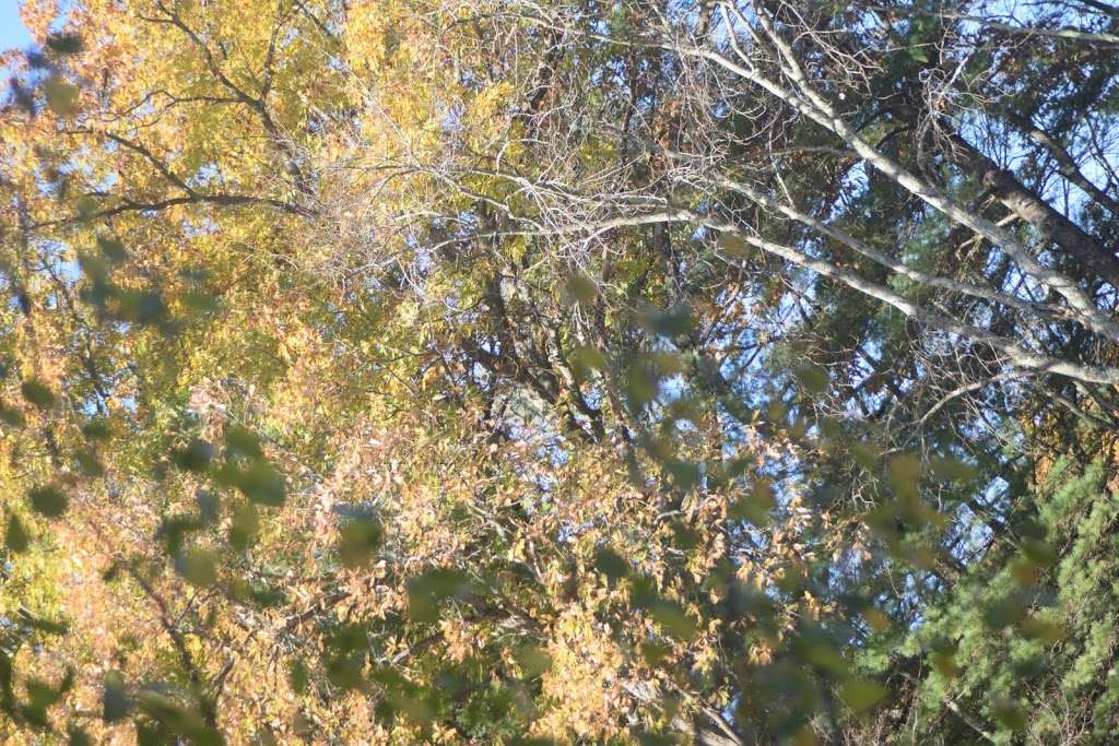 Assabet River Nature Trail | 124-126 Chapin Rd, Hudson, MA 01749, USA