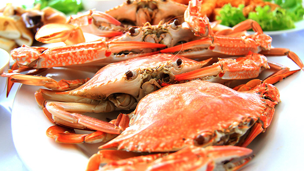 Big Jims Seafood House | 2252 Industrial Hwy, York, PA 17402, USA | Phone: (717) 894-5985