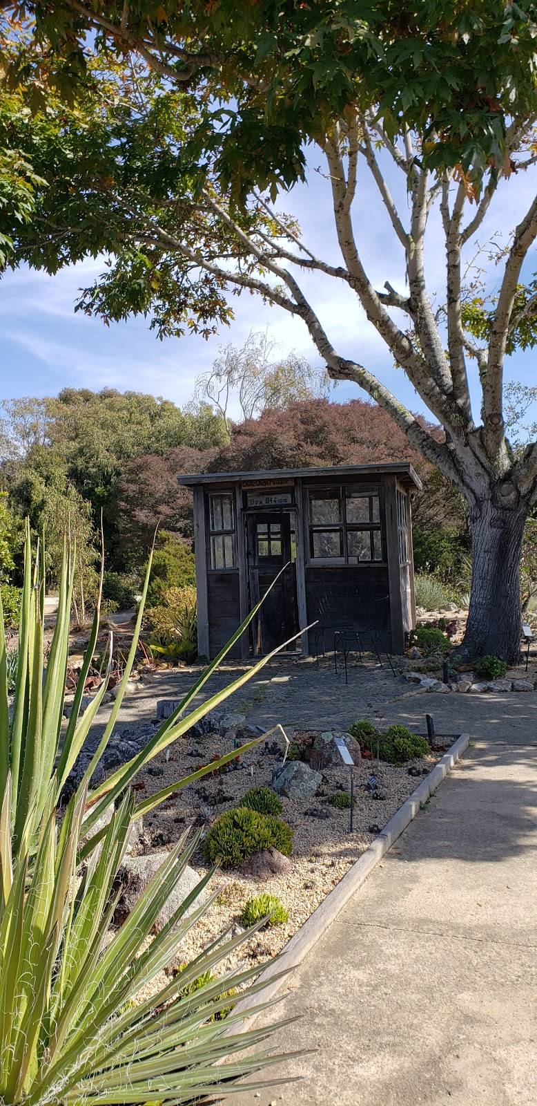 UCSC Arboretum | Santa Cruz, CA 95064, USA | Phone: (831) 502-2998