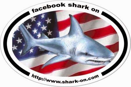 Shark ON | 1200 Fox Meadow Dr, Alvin, TX 77511