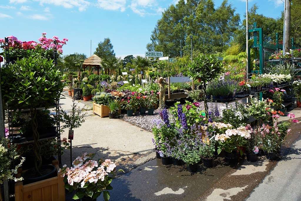 Flower Pot Nursery | Frant Rd, Tunbridge Wells TN3 9HB, UK | Phone: 01892 510190