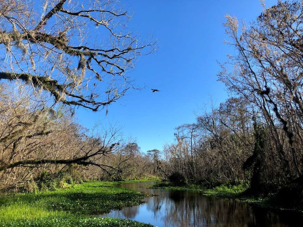 Captain Jed’s Airboat Rides | 2984 W New York Ave, DeLand, FL 32720, USA | Phone: (904) 891-1817