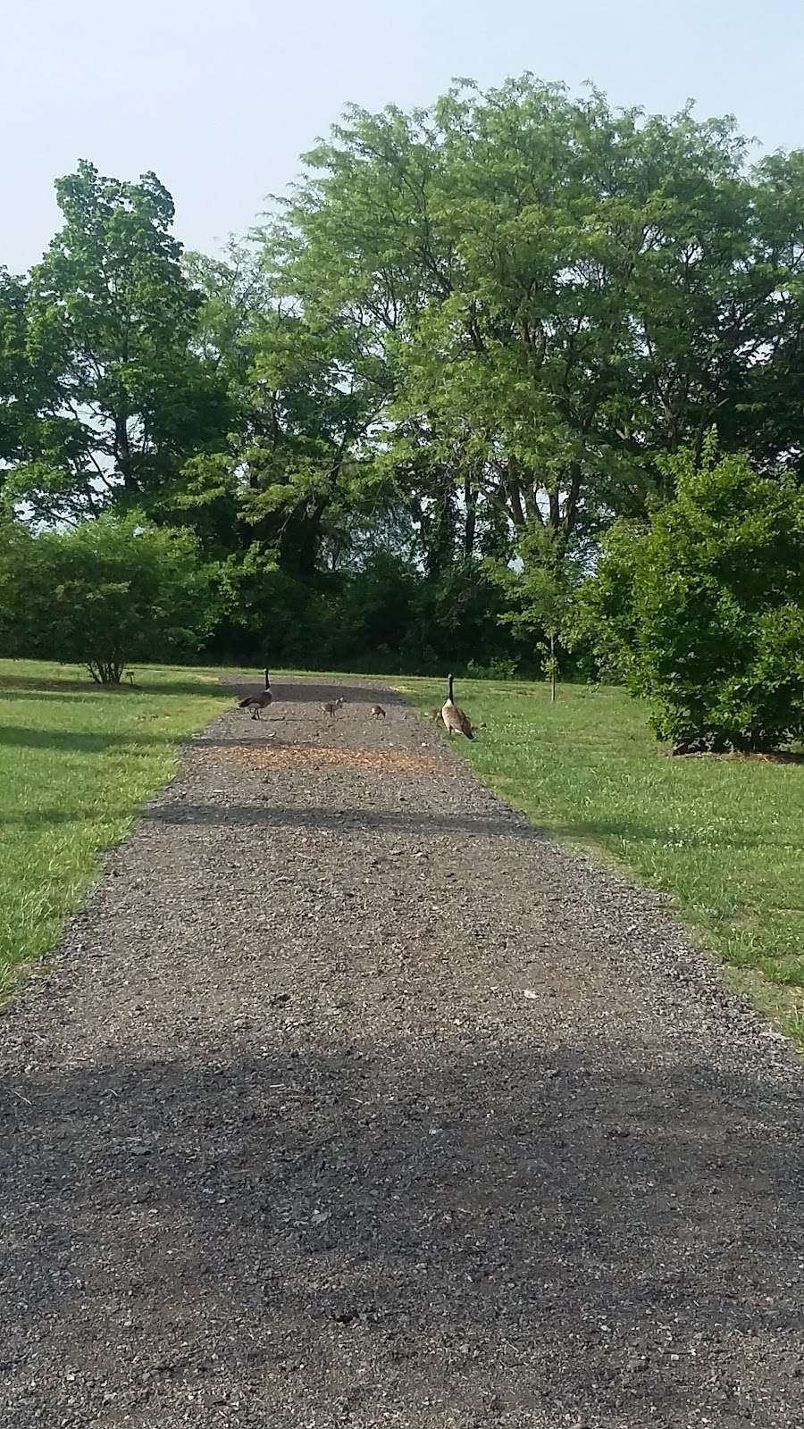 Lawrence Rotary Arboretum | 5100 W 27th St, Lawrence, KS 66047, USA | Phone: (785) 832-3451