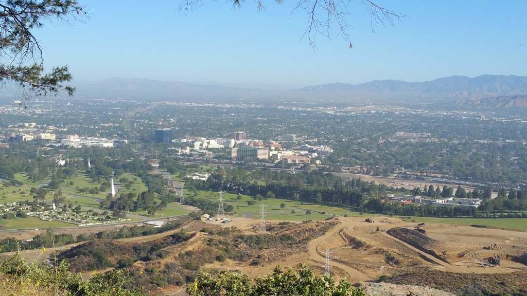 Cathys Corner | Mt Hollywood Dr, Los Angeles, CA 90027, USA
