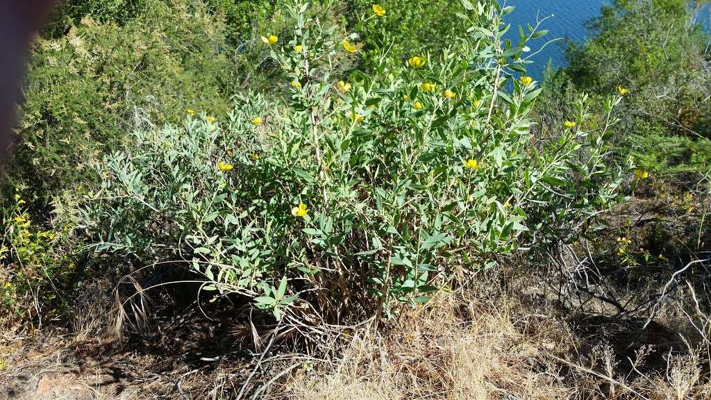 Briones Overlook staging area | Orinda, CA 94563, USA