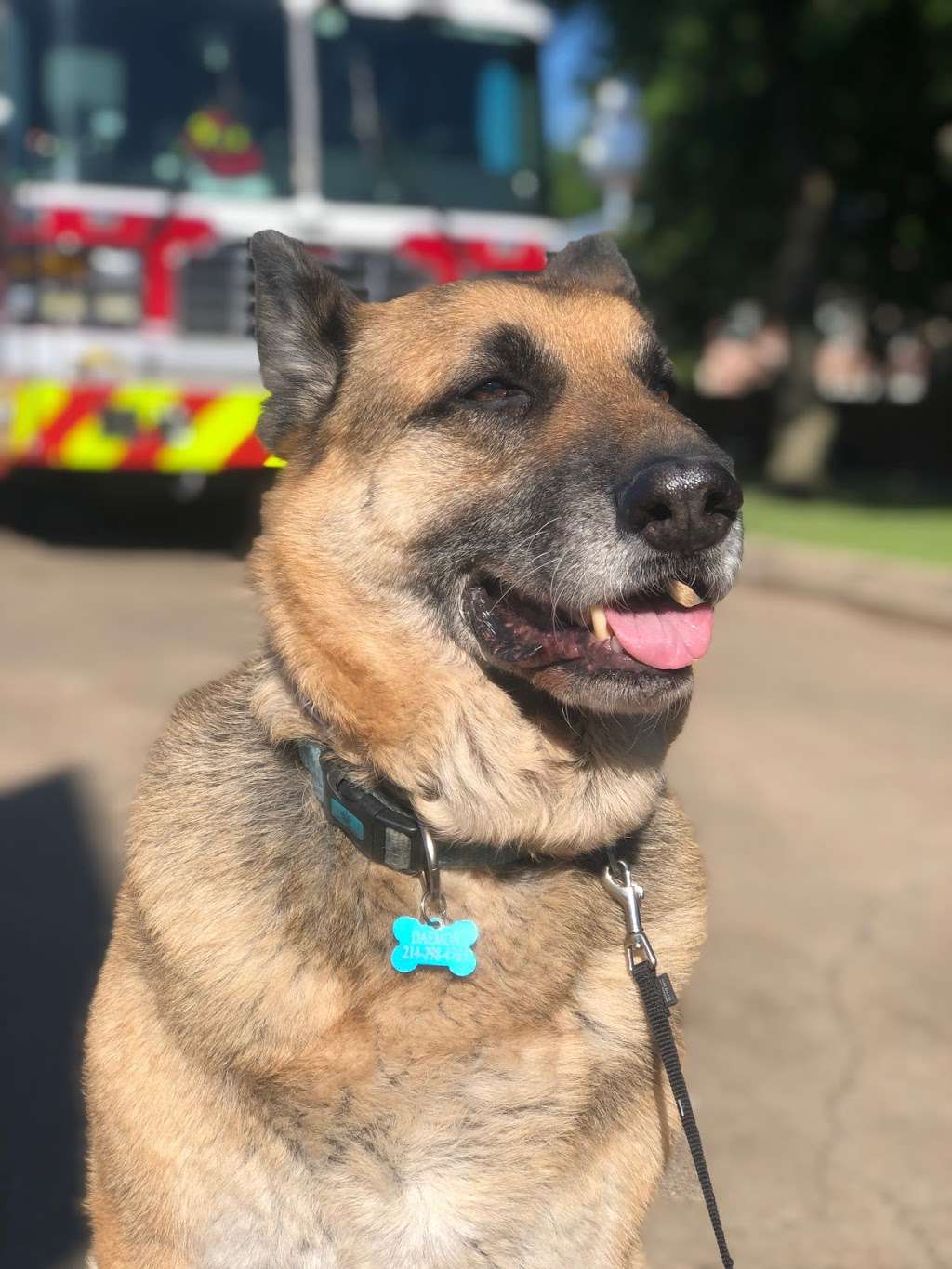 Carrollton Fire Station 6 | 1115 W Rosemeade Pkwy, Carrollton, TX 75007, USA | Phone: (972) 466-3333