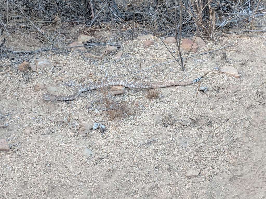 Jurupa Hills Backcountry Trail | Unnamed Road, Fontana, CA 92337, USA