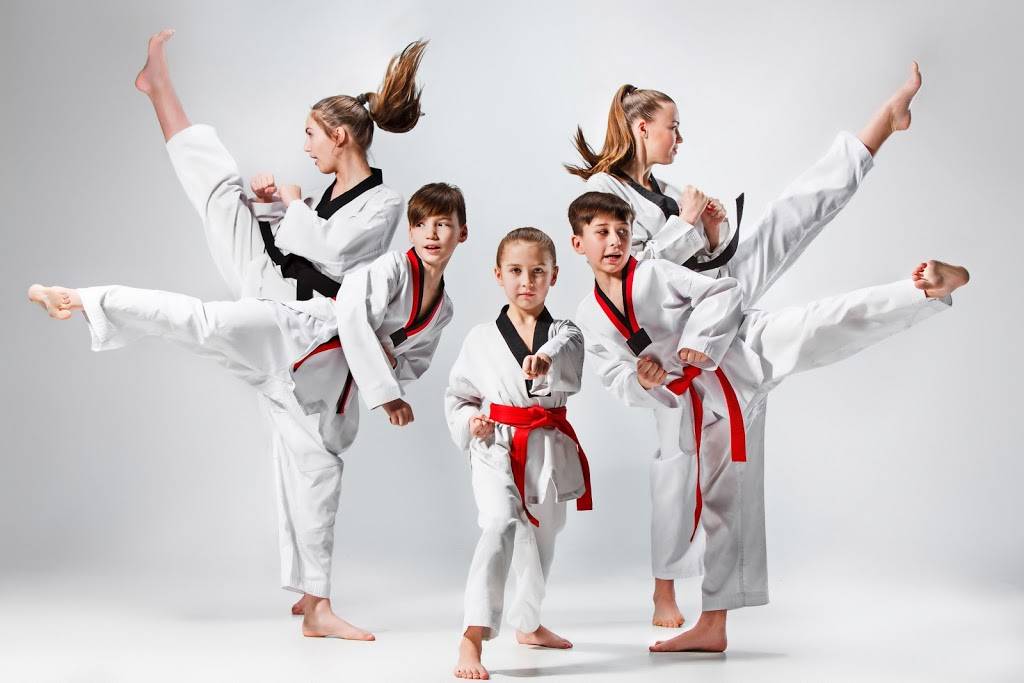 Dreamkick Taekwondo | 1077 S De Anza Blvd, San Jose, CA 95129, USA | Phone: (650) 815-6000