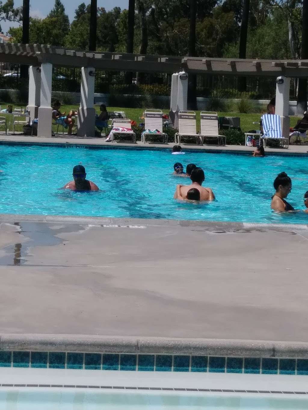 Altisima Pool Samlarc pool | 30082 Melinda Rd, Rancho Santa Margarita, CA 92688, USA | Phone: (800) 428-5588