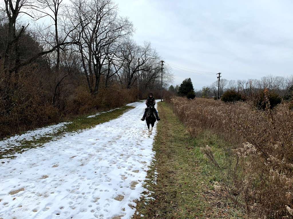 Hoover Forest Preserve in 11285 W Fox Rd, Yorkville, IL 60560, USA
